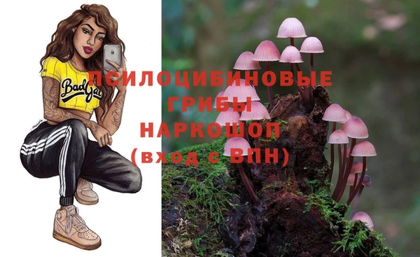 экстази Осташков