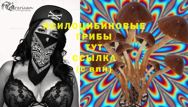 прущие крисы Остров